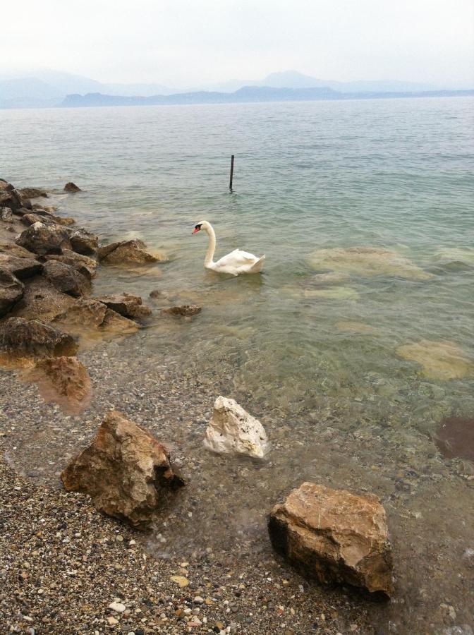 Casa Caterina Lake View Holidays Apartments Peschiera del Garda Eksteriør bilde